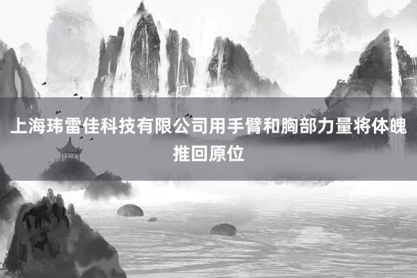 上海玮雷佳科技有限公司用手臂和胸部力量将体魄推回原位