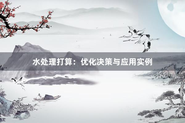 水处理打算：优化决策与应用实例